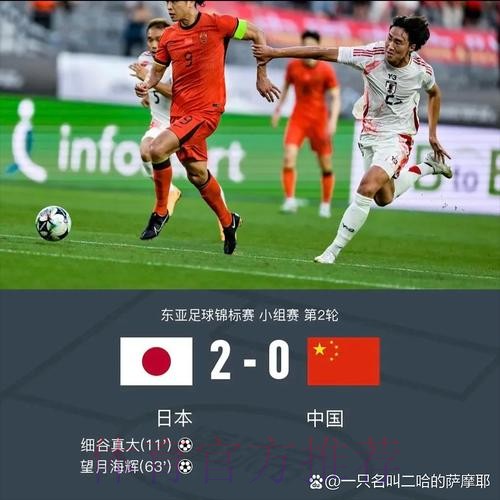 2-0完胜！日本又杀疯了，连赢2大南美+非洲强队，进世界杯8强有戏